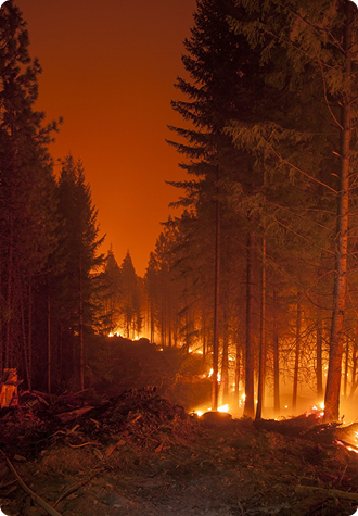Wildfires